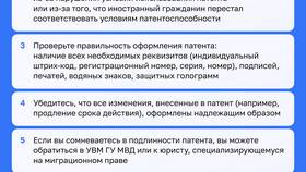 Что будет если просрочить платеж по патенту в Борк