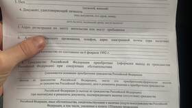 Что нужно делать при утере паспорта в Борк