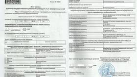 Что нужно для открытия ИП через МФЦ в Борк
