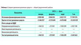 Что обеспечивают доходы: экономическая сущность и функции в Борк