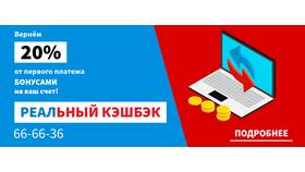 Что означает кэшбэк в Борк
