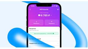Что означает возврат товара на Wildberries в Борк