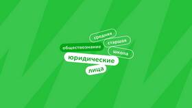 Что входит в понятие юридического лица в Борк