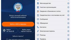 ФНС Айди: что это в Борк