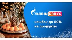 Газпром Бонус Премиум: что входит в Борк