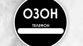 Как изменить номер телефона в приложении Ozon в Борк