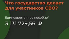 Как оформить единовременную выплату в Борк