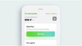 Как оформить карту МИР в СберБанк Онлайн в Борк