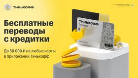 Как оформить карту Tinkoff Platinum в Борк