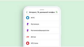 Как оплатить кредит Тинькофф через Сбербанк Онлайн в Борк