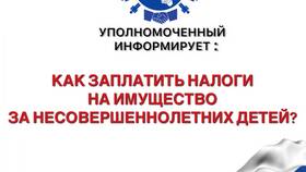 Как оплатить налог на имущество несовершеннолетнего в Борк