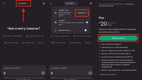 Как оплатить подписку ChatGPT Plus в Борк