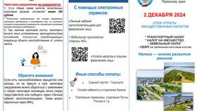 Как оплатить транспортный налог через Госуслуги в Борк