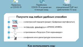 Как отсканировать QR-код с телефона в Борк