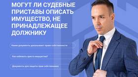 Как передать имущество судебному приставу в Борк