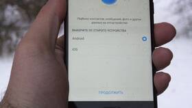 Как перенести фотографии с фотоаппарата на другие устройства в Борк