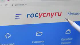 Как подать заявление через портал Госуслуги в Борк