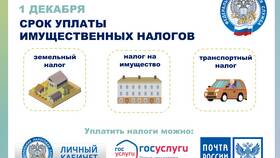 Как погасить судимость через Госуслуги в Борк