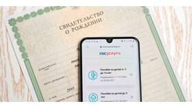 Как получить ИНН на ребенка через Госуслуги в Борк