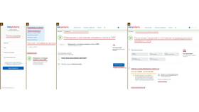 Как получить пенсионные выплаты через портал Госуслуги в Борк