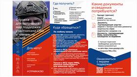Как получить статус одинокой матери через Госуслуги в Борк