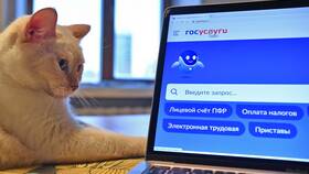 Как получить выписку из ЕГРН через портал Госуслуги в Борк