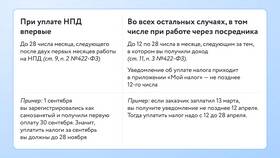 Как понять налог для самозанятых в Борк