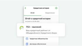 Как посмотреть сумму кредита в Борк
