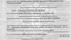 Как правильно заполнить декларацию 6-НДФЛ в Борк
