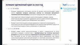 Как правильно заполнить форму 6-НДФЛ за 2024 год в Борк