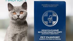 Как правильно заполнить ветеринарный паспорт в Борк