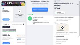 Как проверить штрафы ГИБДД бесплатно в Борк