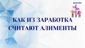 Как рассчитать сумму алиментов в Борк