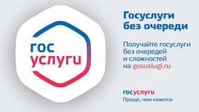 Как расширить возможности портала Госуслуги в Борк