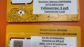 Как самостоятельно активировать SIM-карту Билайн в Борк