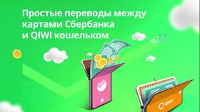 Как снять деньги с кошелька Сбербанка в Борк