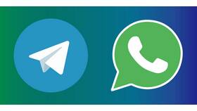 Как создать анимационные стикеры для WhatsApp в Борк