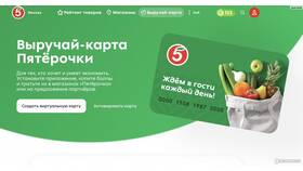 Как списать баллы в Пятёрочке при заказе доставки в Борк
