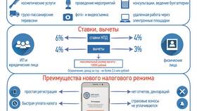 Как стать самозанятым в Борк