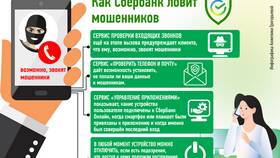 Как устроен банк: структура и основные компоненты в Борк