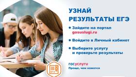 Как узнать результаты ЕГЭ через портал Госуслуги в Борк