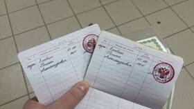 Как вписать ребенка в загранпаспорт в Борк