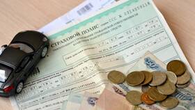 Как выглядит страховой полис в 2025 году в Борк