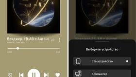 Как выйти из Яндекс аккаунта на других устройствах в Борк
