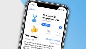 Как зайти в личный кабинет Йота в Борк