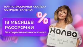 Карты рассрочки: особенности и сравнение с Халвой в Борк