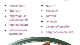 Лист брусники: инструкция по применению в Борк