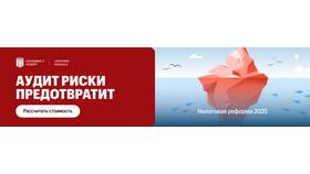 На основании чего ИП не облагается НДС в Борк