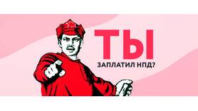 Нечем платить штраф: что делать в такой ситуации в Борк
