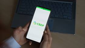 Почему не получается оплатить через Сбербанк Онлайн в Борк
